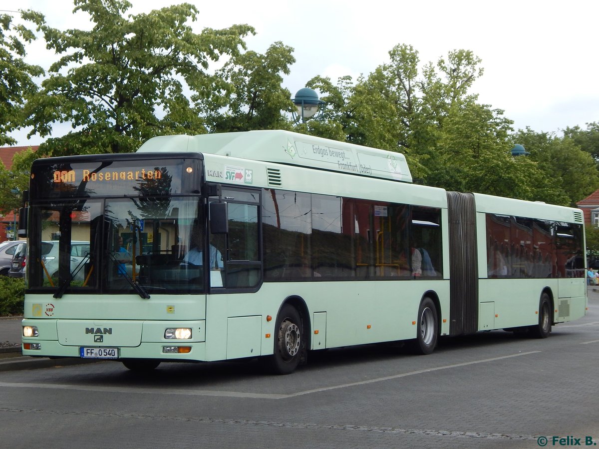 MAN Niederflurbus 2. Generation CNG der Stadtverkehrsgesellschaft mbH Frankfurt Oder in Frankfurt.