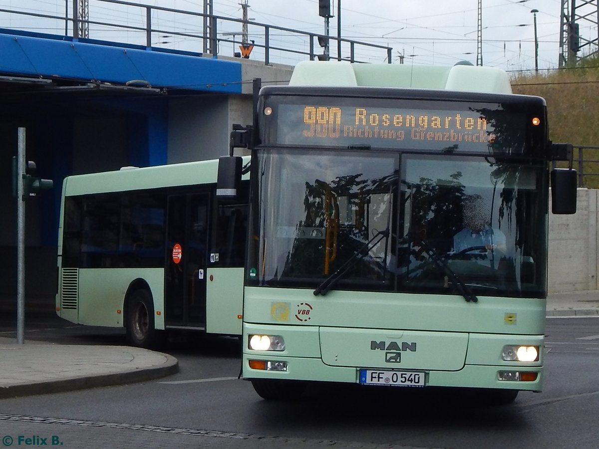 MAN Niederflurbus 2. Generation CNG der Stadtverkehrsgesellschaft mbH Frankfurt Oder in Frankfurt.