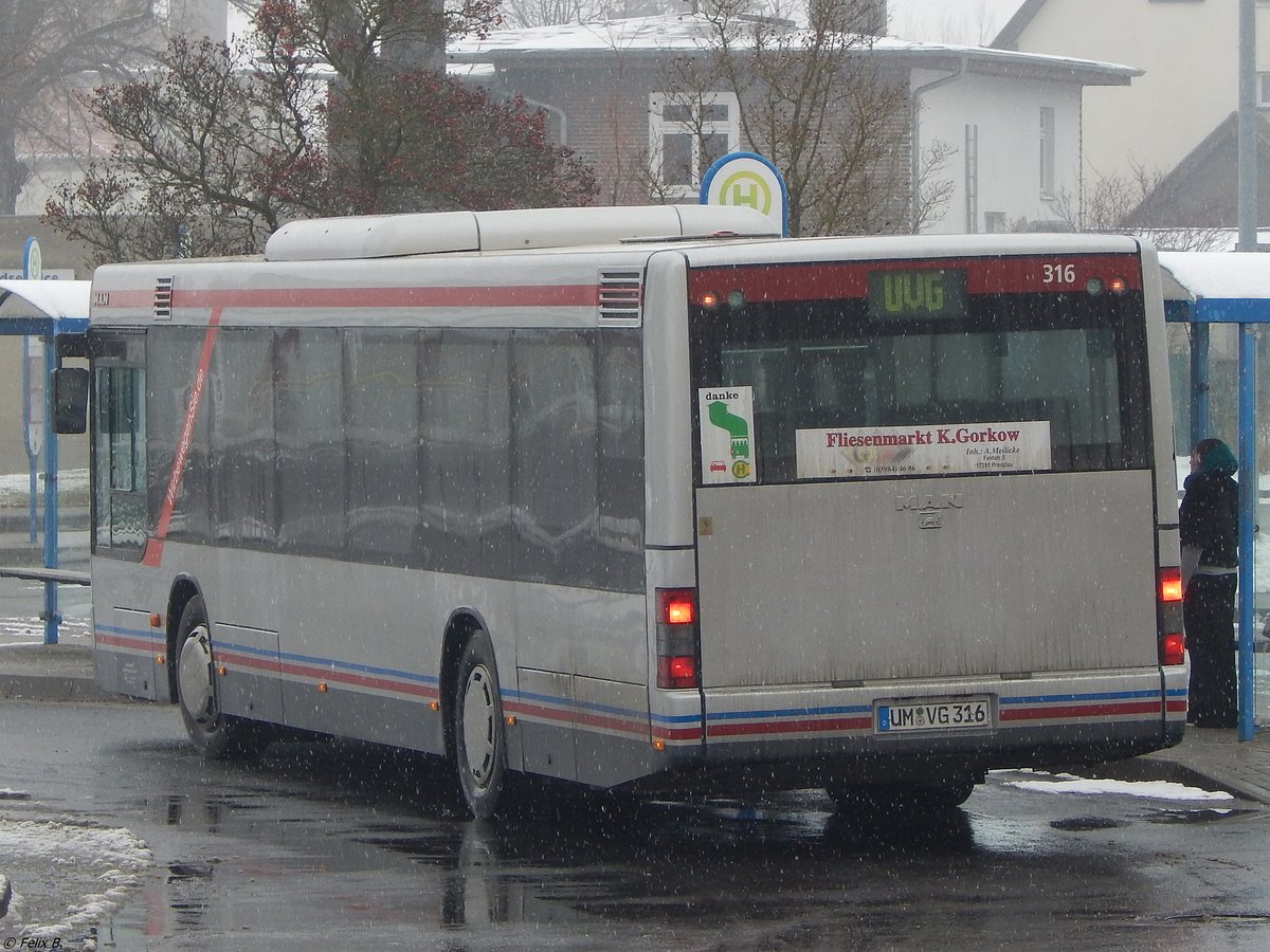 MAN Niederflurbus 2. Generation der Uckermärkische Verkehrs GmbH in Prenzlau.