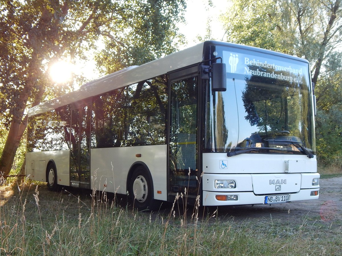 MAN Niederflurbus 2. Generation/Göppel vom Behindertenverband Neubrandenburg in Neubrandenburg. 