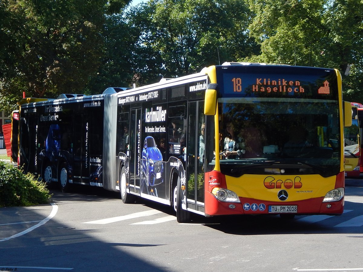 Mercedes CapaCity von Groß aus Deutschland in Tübingen.