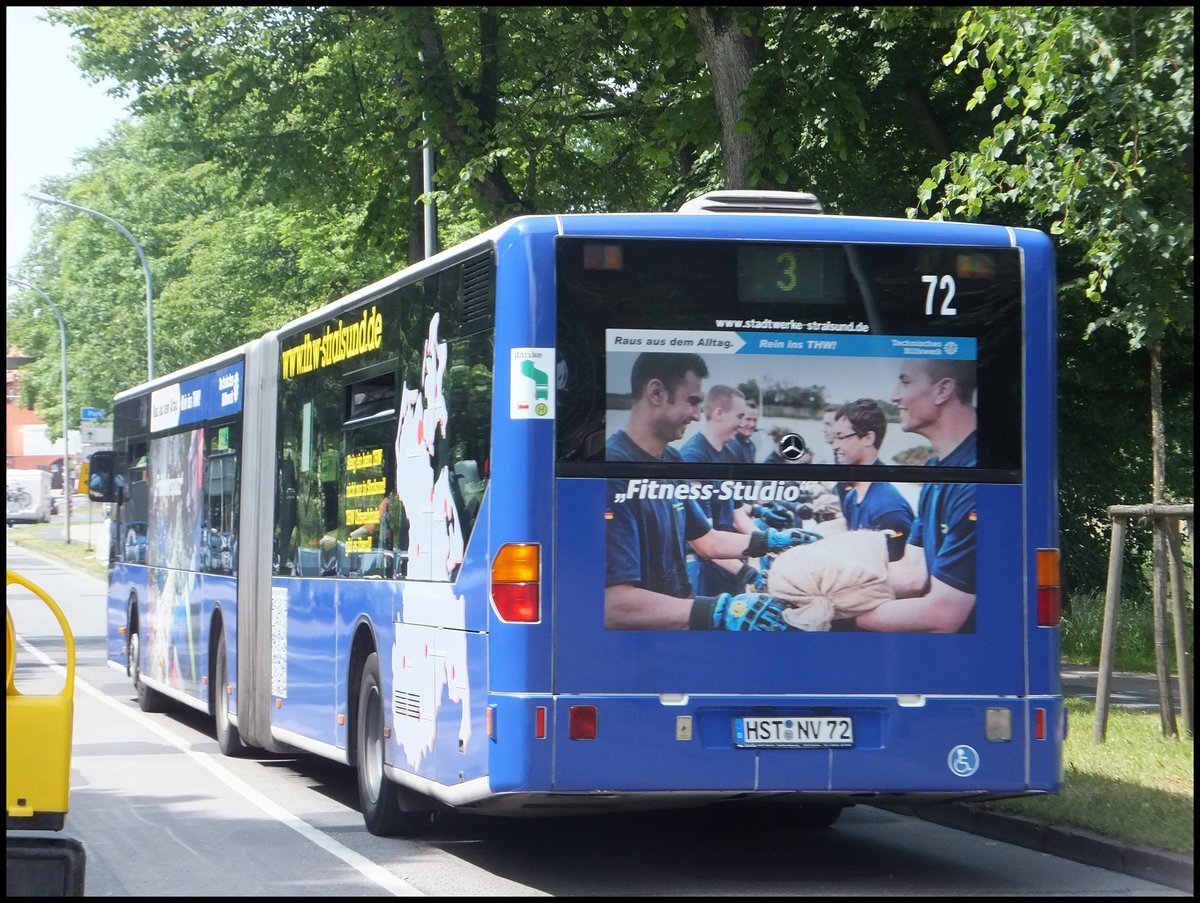 Mercedes Citaro I der Stadtwerke Stralsund in Stralsund.