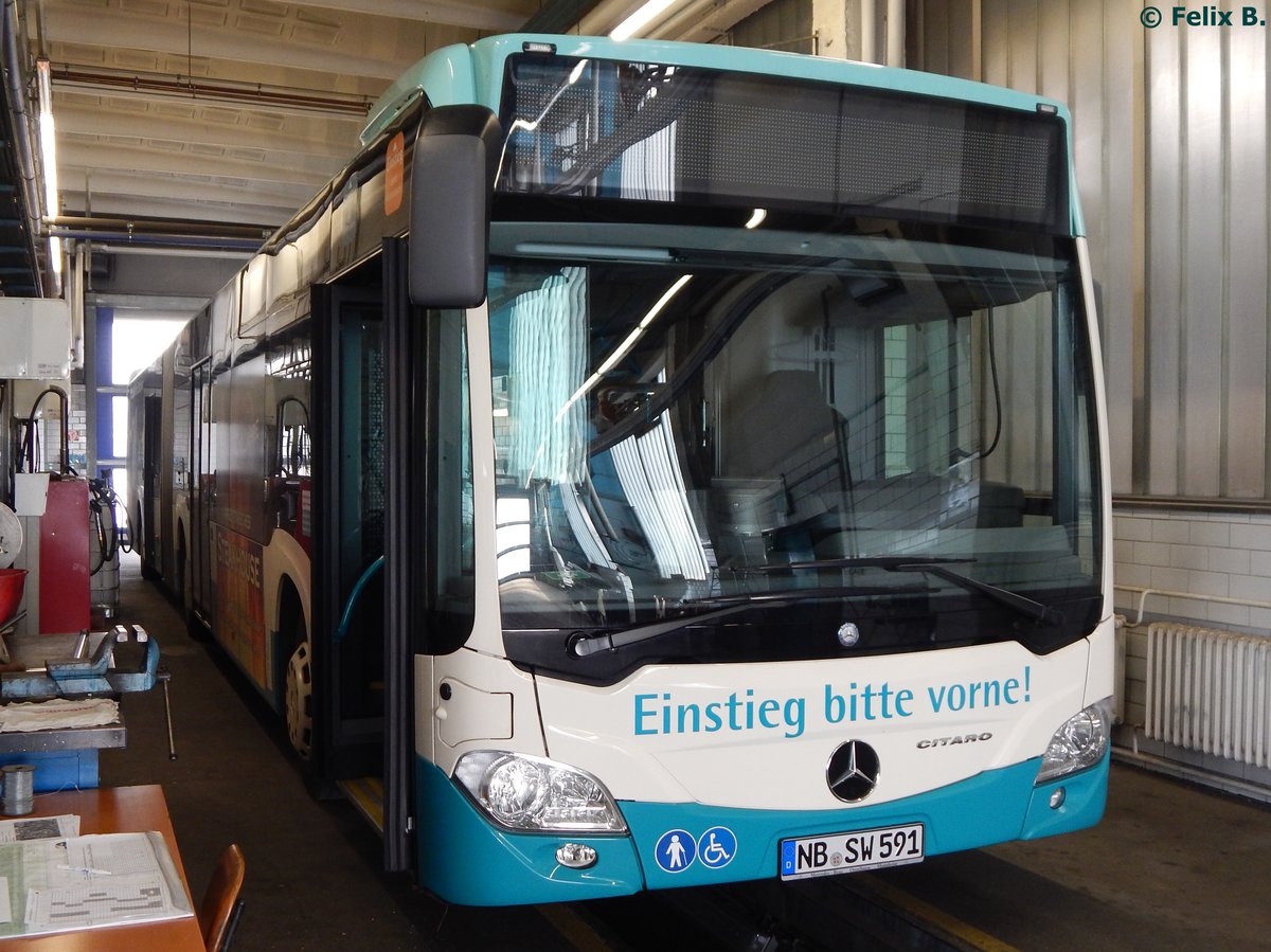 Mercedes Citaro III der Neubrandenburger Verkehrsbetriebe in Neubrandenburg. 