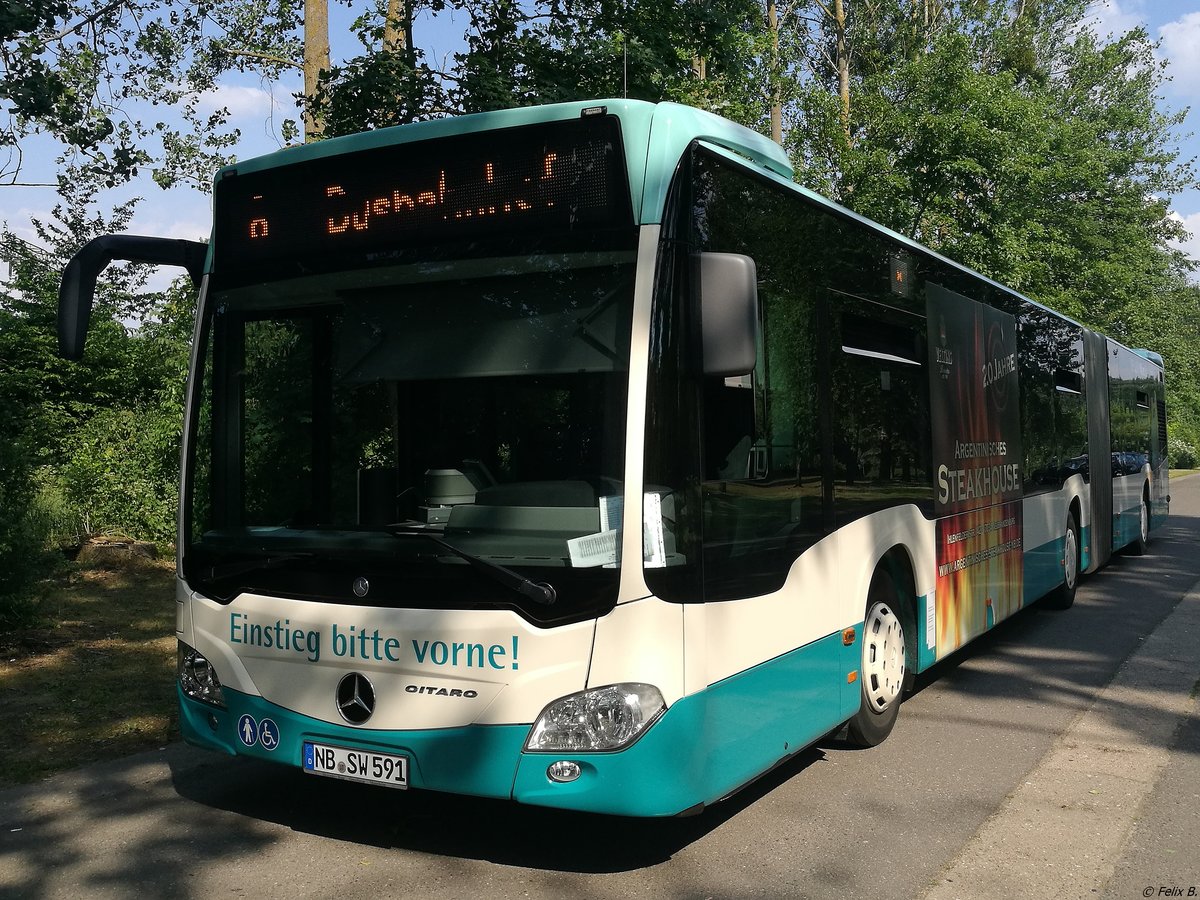 Mercedes Citaro III der Neubrandenburger Verkehrsbetriebe in Neubrandenburg.