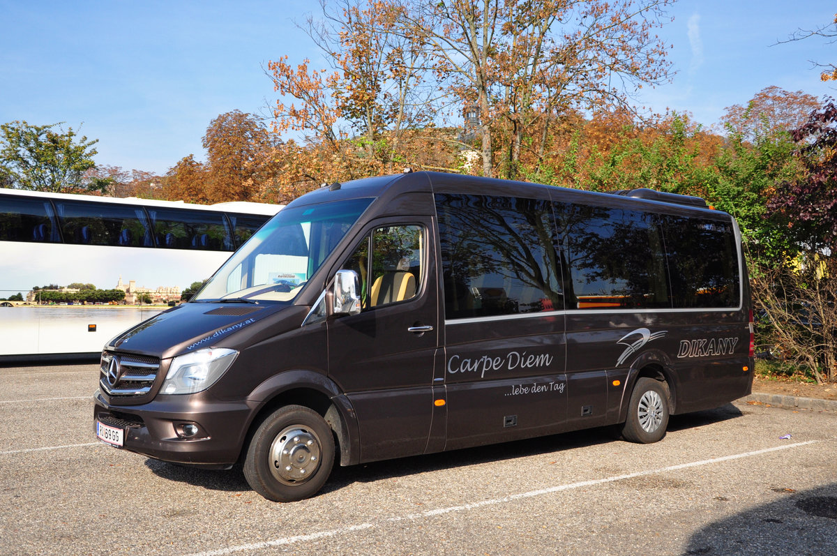 Mercedes Sprinter 519 Bluetec von Dikany Reisen aus sterreich in Krems.