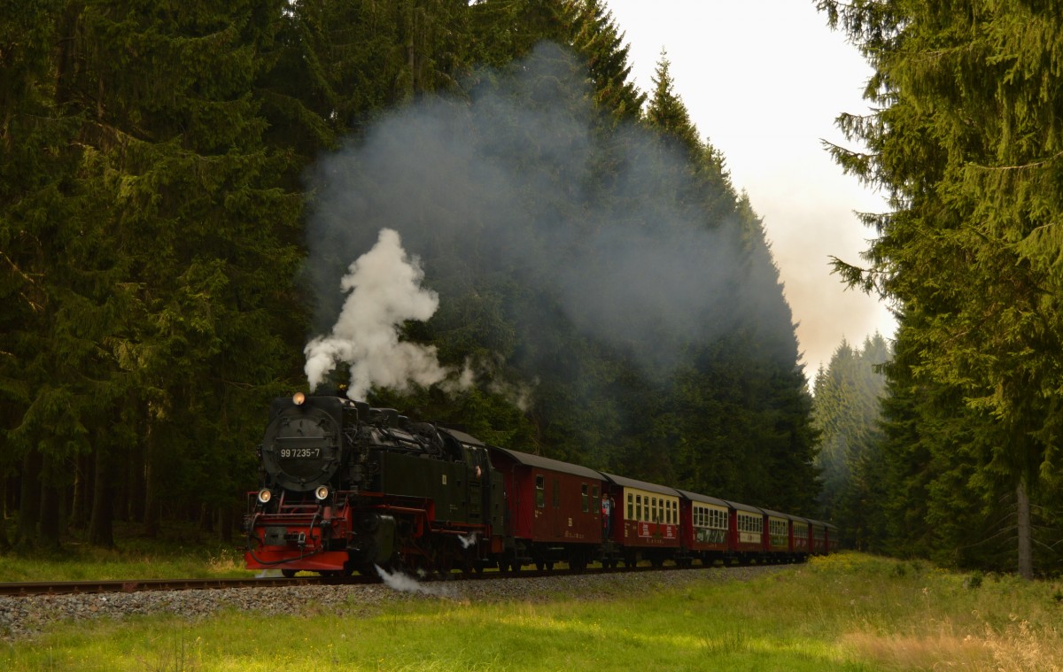 Mit hallender Pfeife und sattem Sound donnert 99 7235-7 mit N 8929 durch den Wald zwischen Elend und Sorge am 12.08.2015