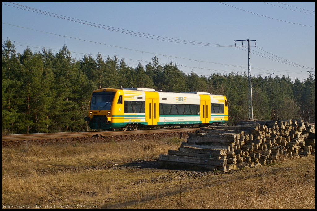 ODEG VT 650.67 / 650 067 am 09.03.2014 als RB36 nach Bln.-Lichtenberg durch die Berliner Wuhlheide