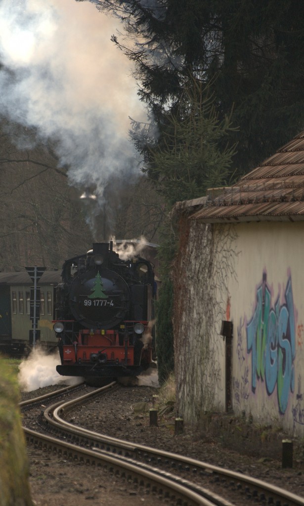 S-Kurve der Schmalspurbahn im L��nitzgrund.
29.12.2013 13:11 Uhr.