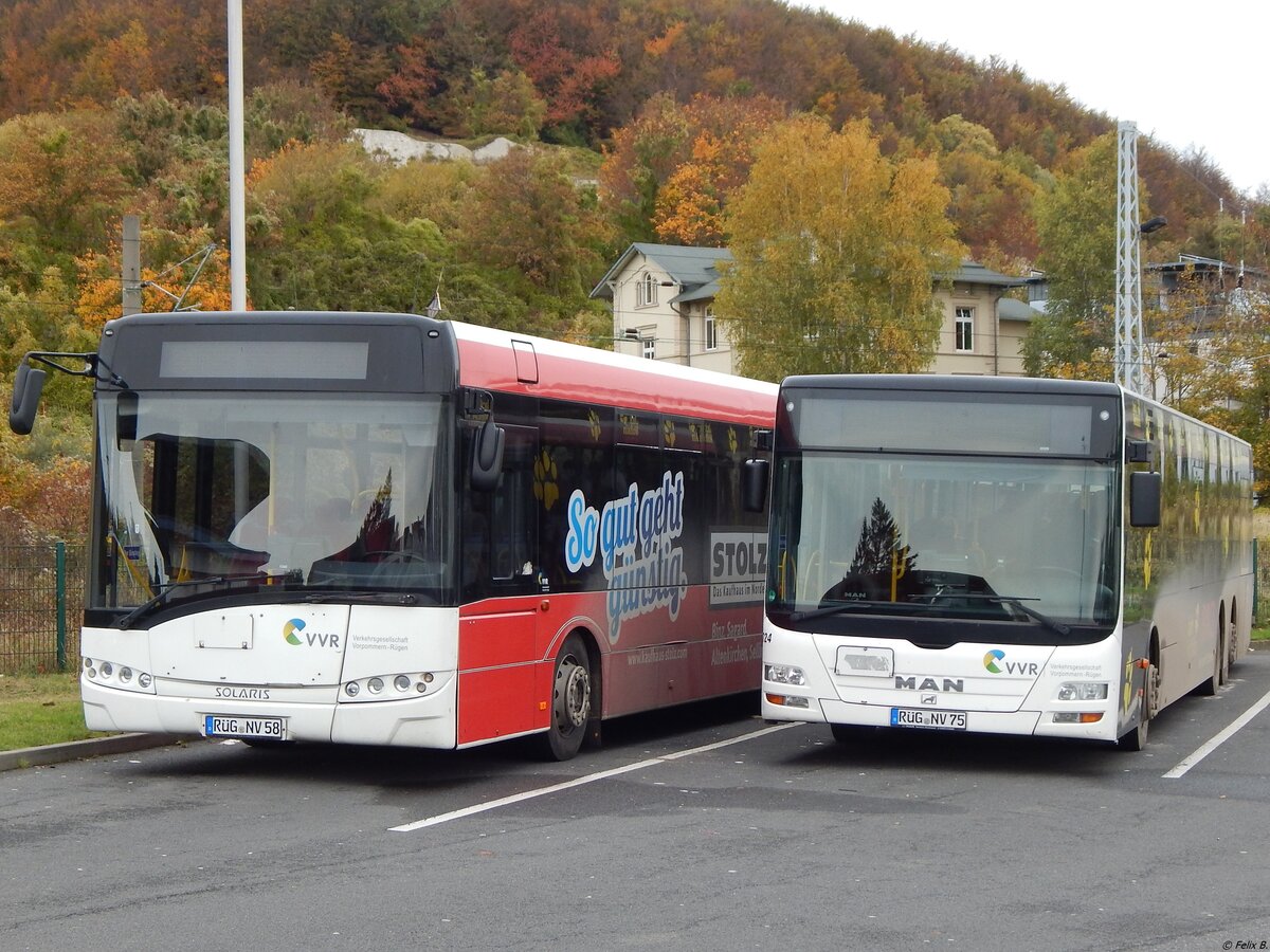 Solaris Urbino 12 und MAN Lion's City der VVR in Sassnitz.