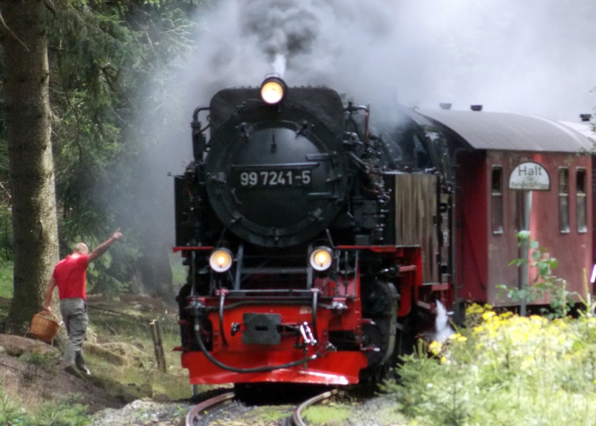 Treffen zwischen Pilzsammler und HSB am 13.08.2014 vor Schierke.