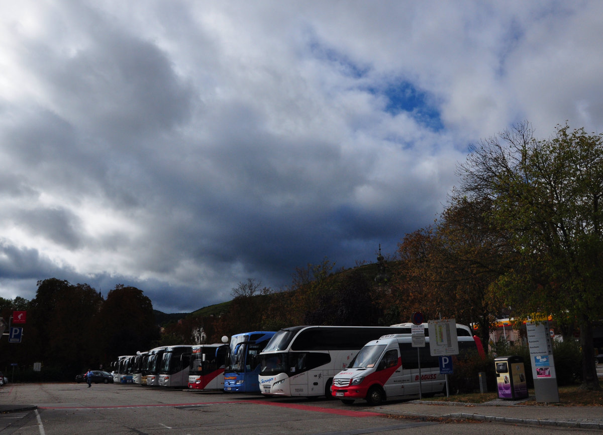 Voller Busparkplatz bei der Schiffanlegestelle in Krems. Vorne ein Neoplan Cityliner vn Hieringer und ein Mercedes Sprinter von Blaguss.