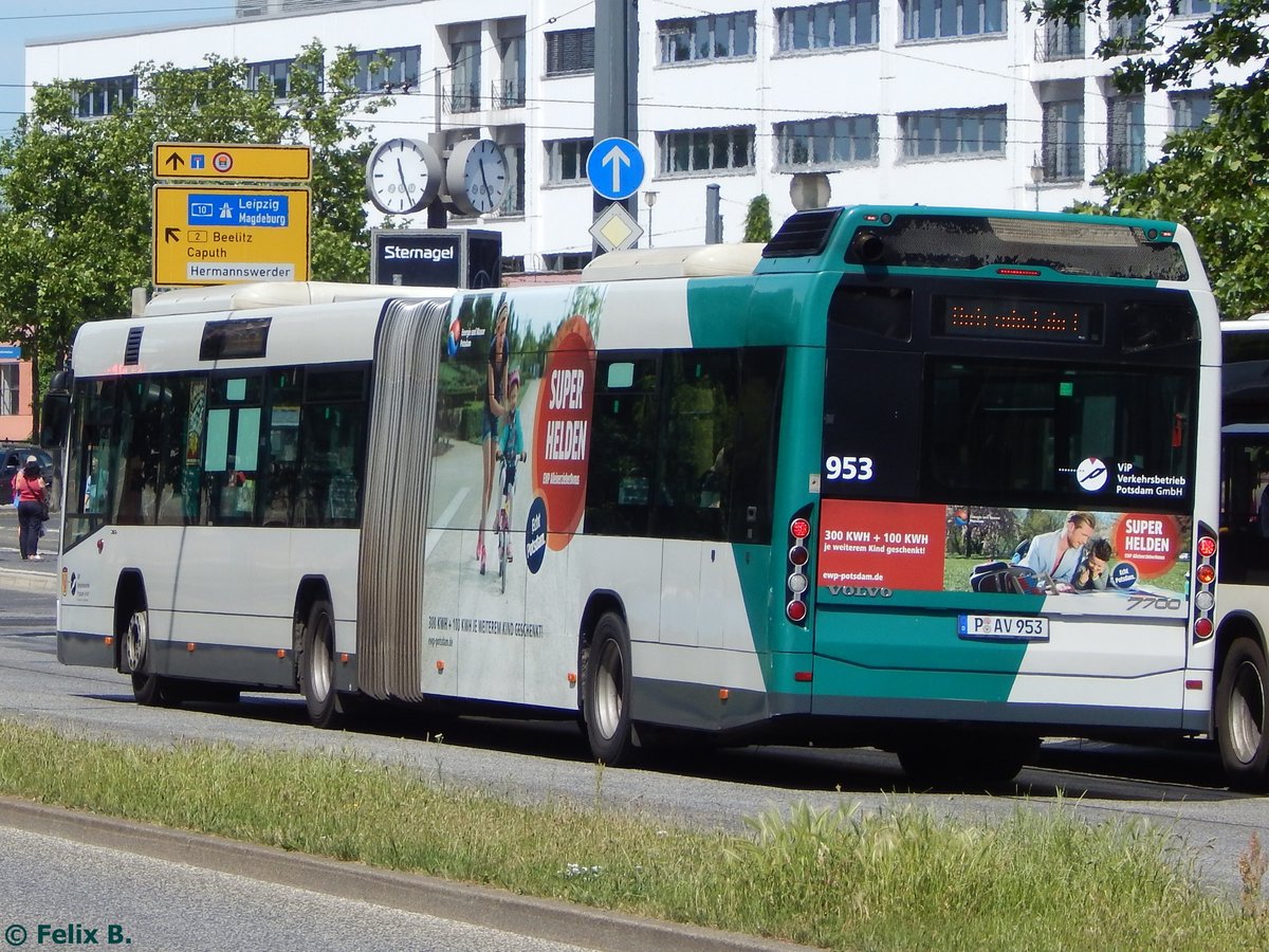 Volvo 7700 vom Verkehrsbetrieb Potsdam in Potsdam.