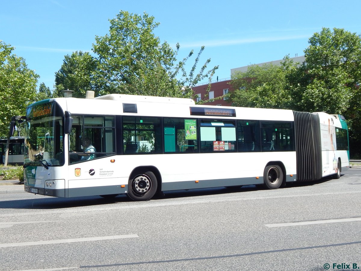 Volvo 7700 vom Verkehrsbetrieb Potsdam in Potsdam.