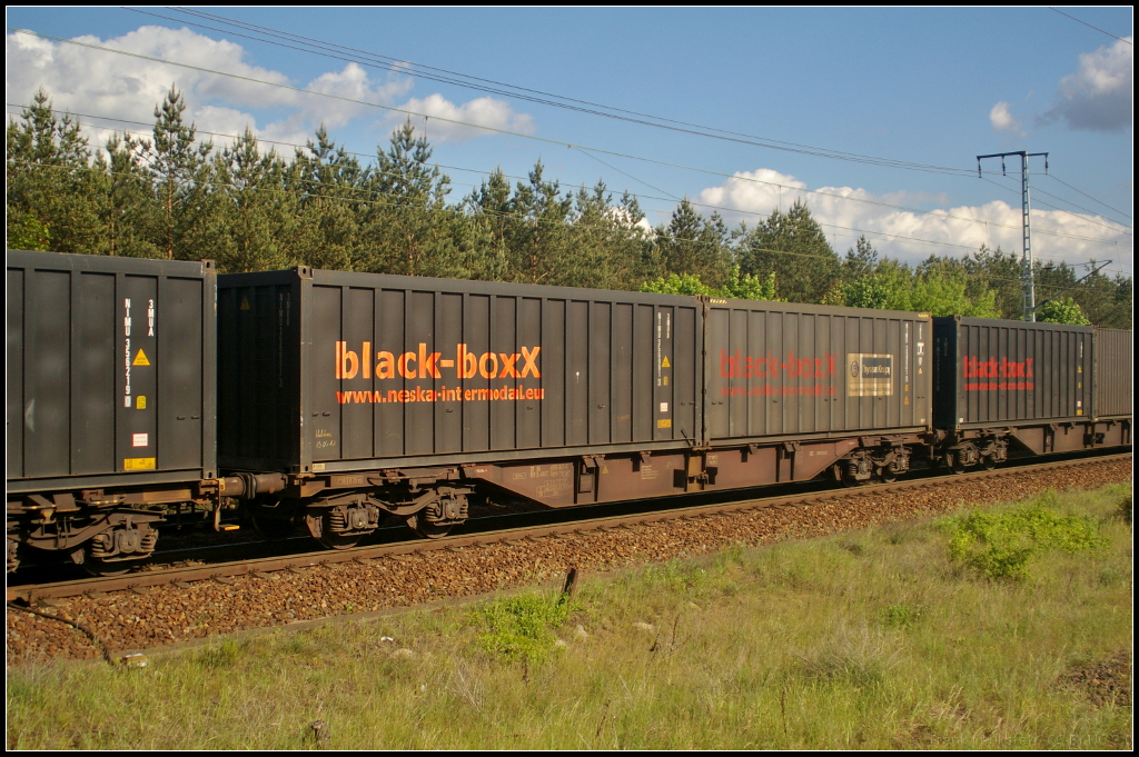 Zum Transport von Container ist der Flachwagen der Gattung Sgns gedacht. Dieser wird von AAE Cargo eingesetzt, als er am 26.05.2017 durch die Berliner Wuhlheide fuhr (D-AAEC 37 80 4555 067-0 Sgns)