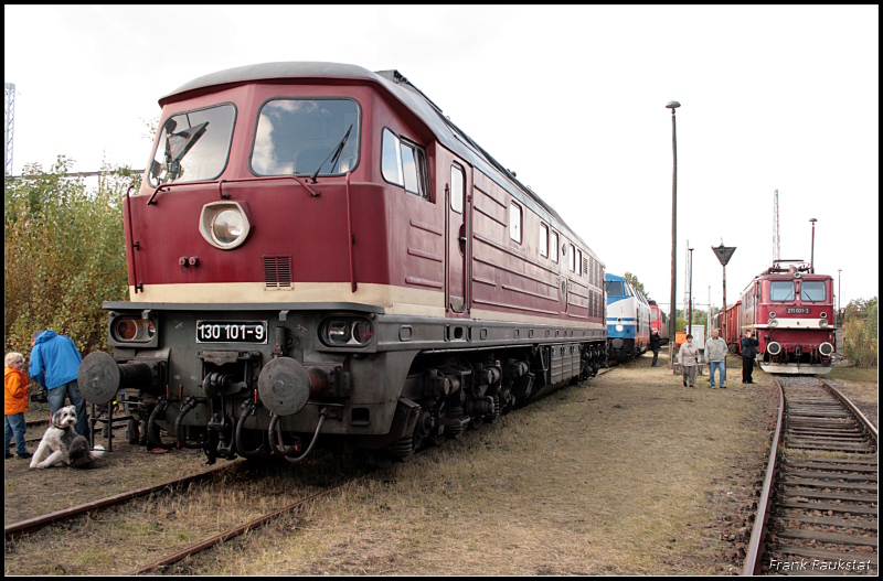 DR 130 101 / 230 101 machte eine gute Figur auf dem 6. Berliner Eisenbahnfest (gesehen Bw Schöneweide 04.10.2009)