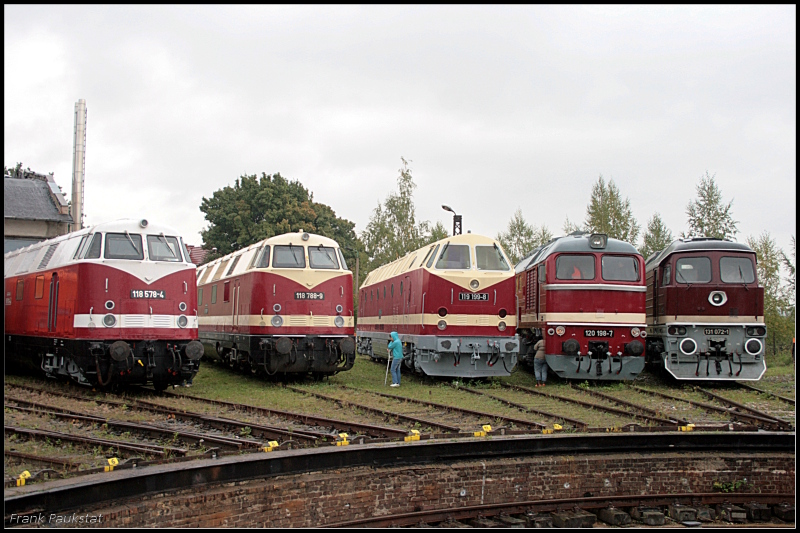 Geballte Dieselpower beim Eisenbahnfest des Thringer Eisenbahnverein zum Saisonabschluss 2009. Von links nach rechts 118 578, 118 788, 119 199, 120 198 und 131 072 (Weimar 10.10.2009)