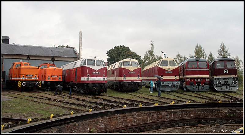 Klein- und Grodiesel eintrchtig nebeneinander vor der Drehscheibe. Von links nach rechts 106 100, 106 601, 118 578, 118 788, 119 199, 120 198 und 131 072 (Eisenbahnfest des TEV zum Weimarer Zwiebelmarkt, Weimar 10.10.2009)