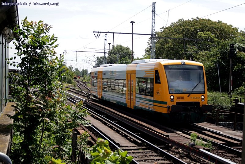 ODEG VT 650.82 / 650 082 als OE36 Schöneweide in den ODEG-Farben kurz vor der Einfahrt in die Endstation - 14.05.2009
