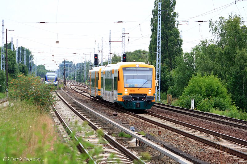 ODEG VT650.58 als OE60 nach Bln.-Lichtenberg. Ein besonderer Gru an den Tf fr das Fernlicht! (Berlin Karow, 15.06.2009)