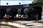 44 1182-3, 50 3695-9 und 52 8184-5 lugten aus dem Lokschuppen (Dampflokfest im Traditionsbahnbetriebswerk Sta�furt, gesehen Sta�furt-Leopoldshall 05.06.2010)