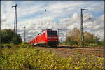 146 024-5 ist im Auftrag von DB Regio für die Elbe-Saale-Bahn als RB40 Burg (Magdeburg) am 09.09.2017 auf Höhe Abzweig Magdeburg Elbbrücke unterwegs