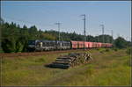 DB Cargo X4 E - 609 / 193 609 und 193 607 fuhren am 29.08.2017 mit dem Kohlependel durch die Berliner Wuhlheide