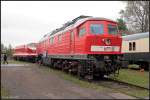 MEG 316 zu Gast auf dem Eisenbahnfest im Bw Weimar (NVR-Nummer 92 80 1232 010-9 D-MEG, ex DR 232 010; Leihgabe an TEV, Eisenbahnfest des TEV zum Weimarer Zwiebelmarkt, Weimar 10.10.2009)