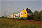 ODEG ET 445.108 / 445 108-4 fuhr am Abend des 30.08.2017 als RE2 Cottbus durch die Berliner Wuhlheide