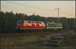 Arriva 221 145 und die Wismut V300 003 kamen bei extrem tief stehender Sonne am 14.11.2012 durch die Berliner Wuhlheide.