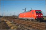 DB Schenker 185 341-5 mit einem gering ausgelasteten Containerzug am 25.11.2011 in Nuthetal-Saarmund.