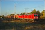 DB Schenker 185 355 und 185 212 mit einem Erz-Zug am 24.10.2013 in der Berliner Wuhlheide