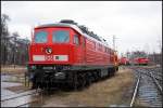 DB Schenker 233 709-5 steht auf einem Zufahrtsgleis zum Aw (ex 232 709-6, Verl.