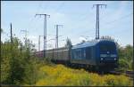 Für die EVB ist 253 015-8 / 223 052 mit einem Containerzug im Einsatz und fährt am 20.08.2011 durch die Berliner Wuhlheide (NVR-Nummer 92 80 1223 052-2 D-PRESS)