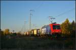 An LOCON ist die Re 482 039 der SBB Cargo ausgeliehen und kommt am 24.10.2013 zu spter Stunde durch die Berliner Wuhlheide