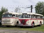Ikarus 66 unn IFA H6B der Rostocker Nahverkehrsfeunde/Rostocker Stra�enbahn AG in Rostock.