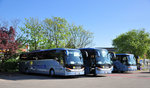 3 mal Setra von Mitterbauee Reisen aus Niedersterreich,links ein 516 MD dann 517 HD und ein 415 GT in Krems gesehen.