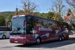 Van Hool T917 Astron von Edtbrustner Reisen aus sterreich 2017 in Krems.