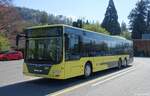 STI Bus aus Thun | Nr. 601 | BE865 601 | MAN Lion`s City C | 17.04.2022 in Thun
