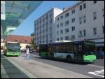 Mercedes Citaro II und MAN Niederflurbus 2.