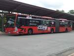 Mercedes Citaro I von Aktivbus Flensburg in Flensburg.