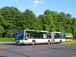 Mercedes Citaro I vom Verkehrsbetrieb Potsdam in Berlin.