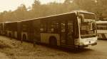 Eine Sepia-Aufnahme eines Mercedes-Benz Citaro G Facelift der Stadtwerke Kaiserslautern (Wagen 339).