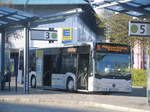 Mercedes Benz Citaro der Stadtwerke Friedrichshafen aufm Busbahnhof Hafenbahnhof am 9.4.17