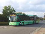 Mercedes Citaro III von Gorzelniaski aus Deutschland Nahe Flensburg.