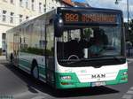 MAN Lion's City der Barnimer Busgesellschaft in Eberswalde.