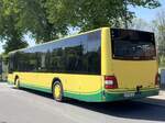 MAN Lion's City der Verkehrsgesellschaft Ludwigslust-Parchim mbH in Plau am See.