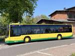 MAN Lion's City der Verkehrsgesellschaft Ludwigslust-Parchim mbH in Plau am See.