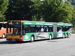 Mercedes CapaCity von TüBus in Tübingen.