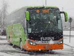 Setra 516 HD von Flixbus/Wricke Touristik aus Deutschland in Neubrandenburg.