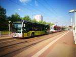 Wagen 510 der HAVAG an der Haltestelle Halle/Saale, Schwimmhalle